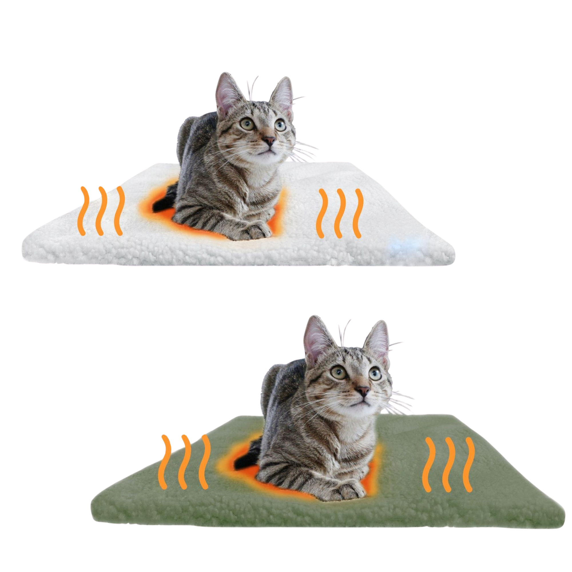Starter-Set "Katze"