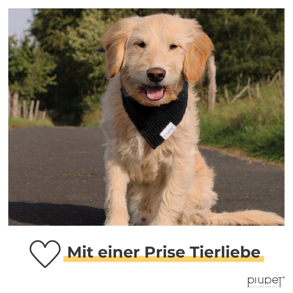 Hundehalstuch-Set "BRUNO"