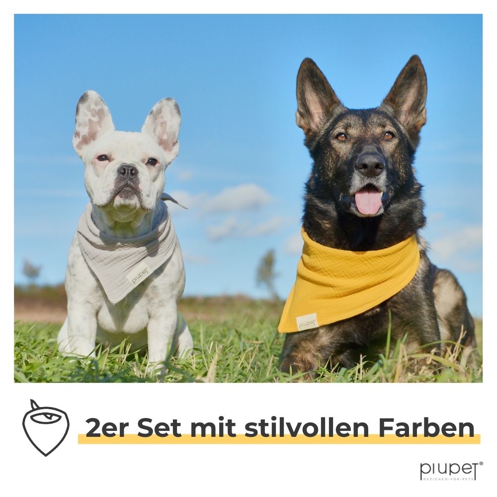 Zwei Hunde tragen Halstücher