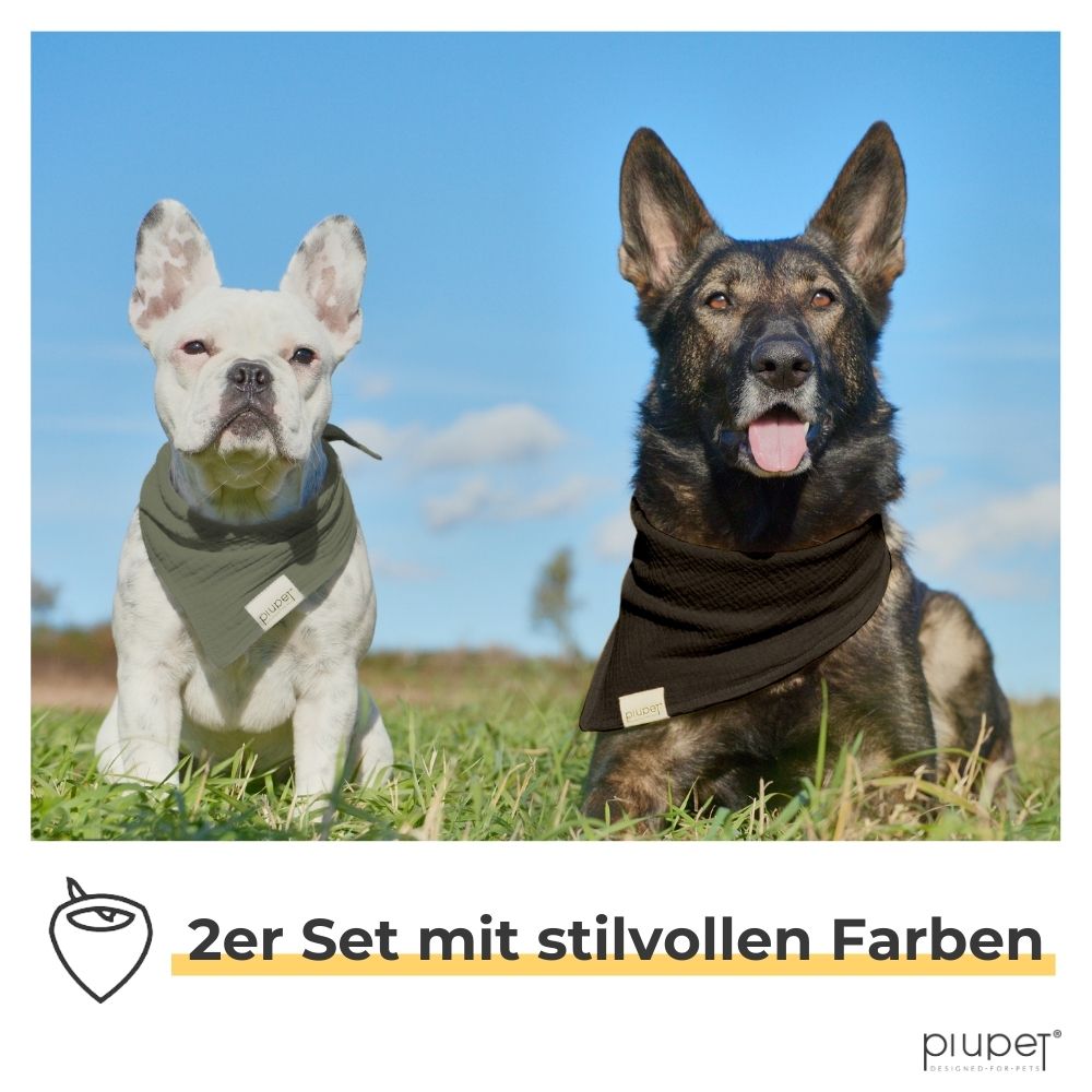 Zwei Hunde tragen Halstücher