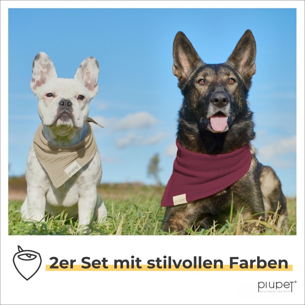 Zwei Hunde tragen Halstücher