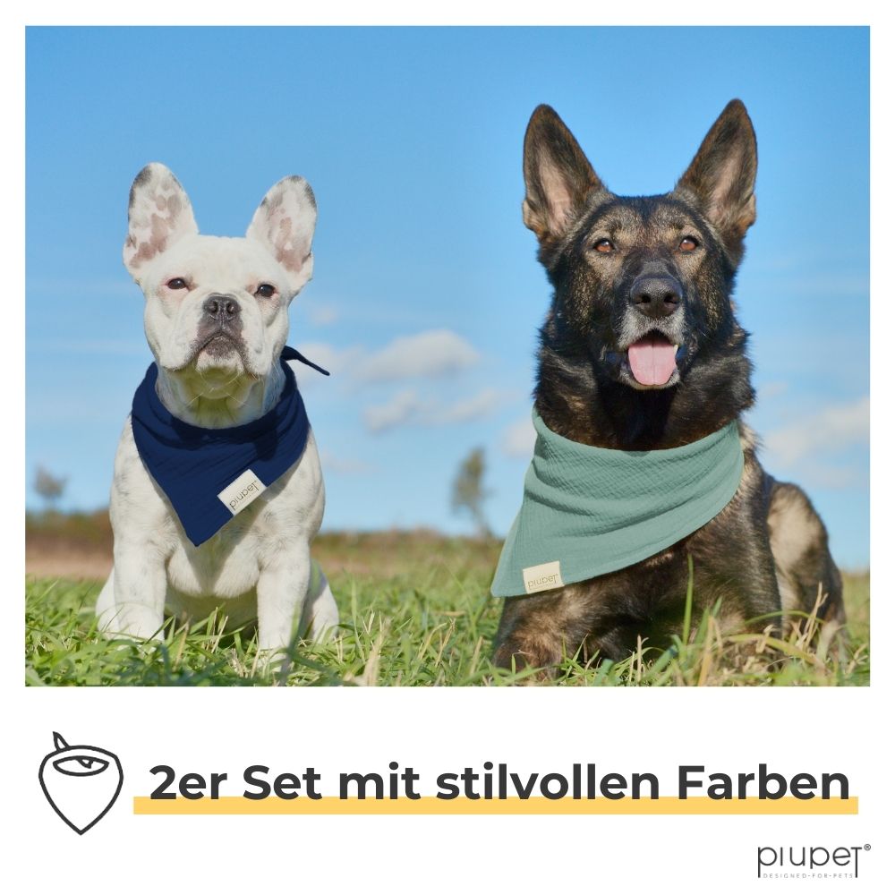 Zwei Hunde tragen Halstücher