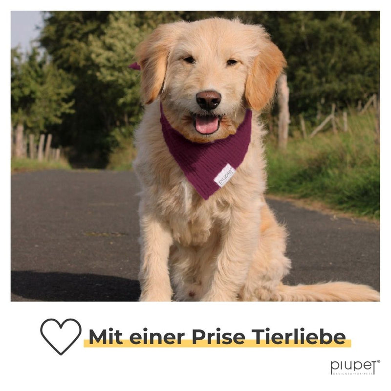 Hundehalstuecher