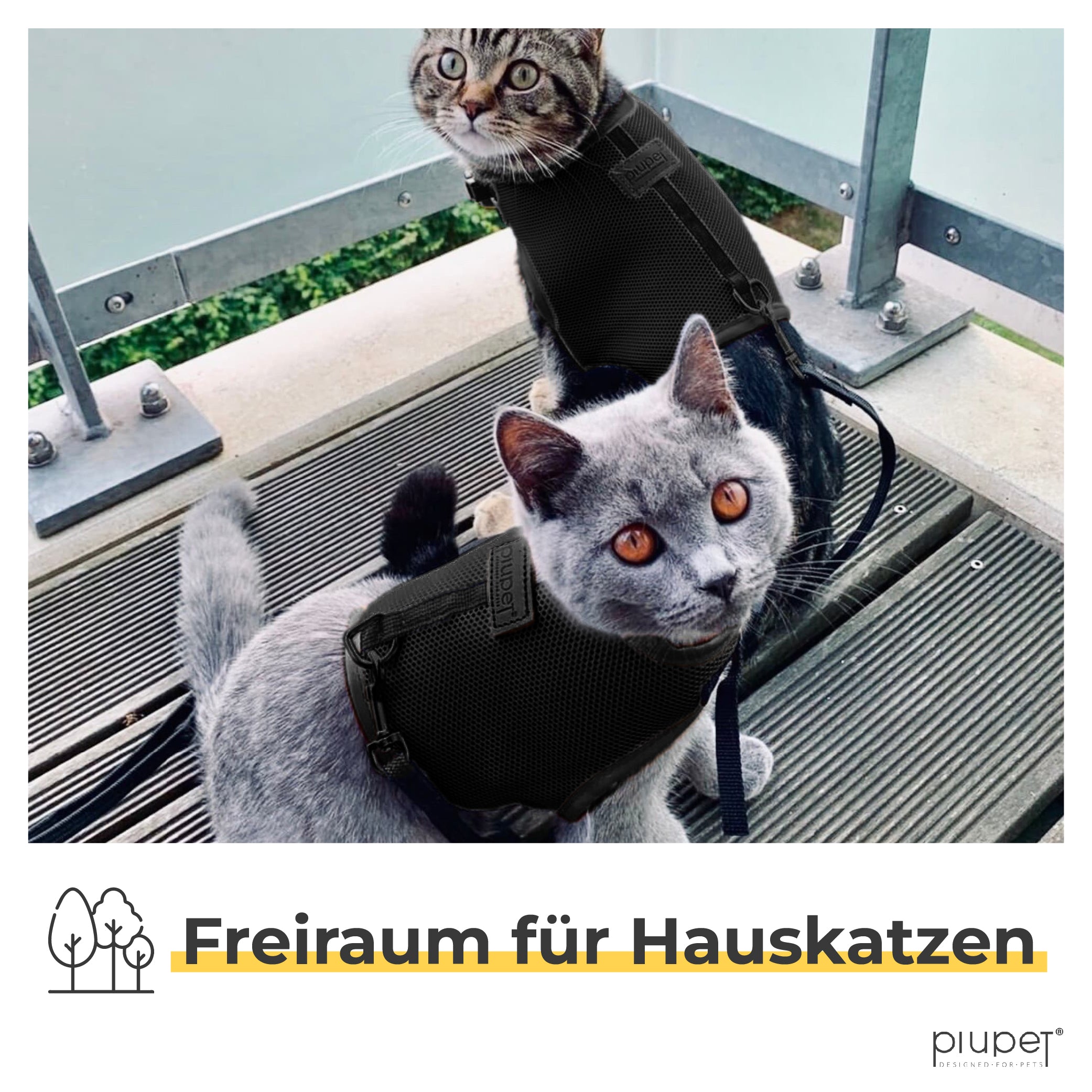 Katzengeschirr optimal geeignet für Hauskatzen