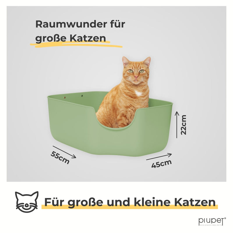 KatzenklofuergrosseKatzen