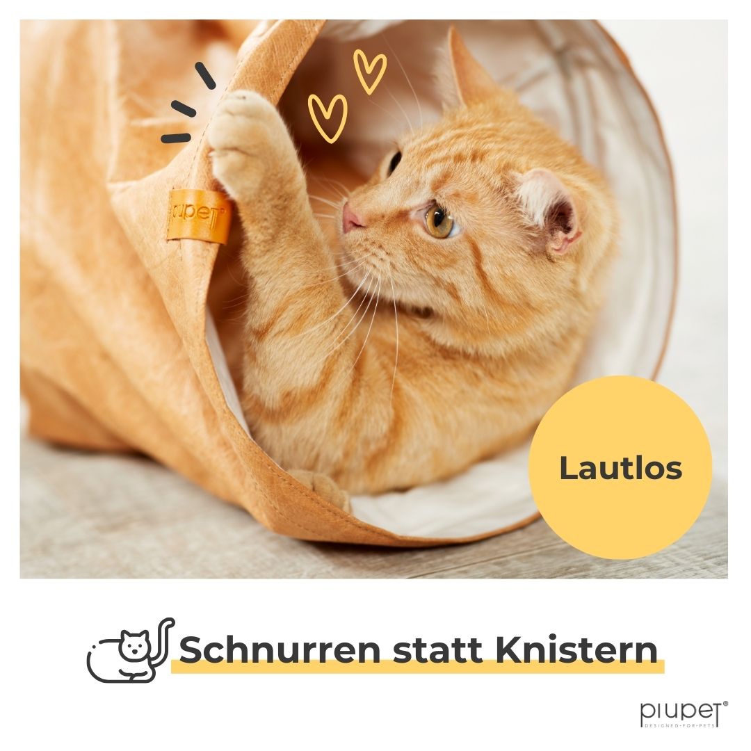Katze spielt mit dem Katzentunnel, ohne dass Geräusche entstehen