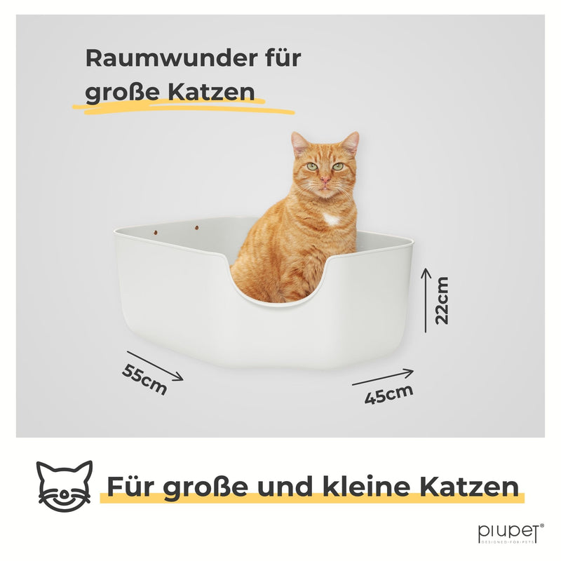 KatzentoilettefuergrosseKatzen