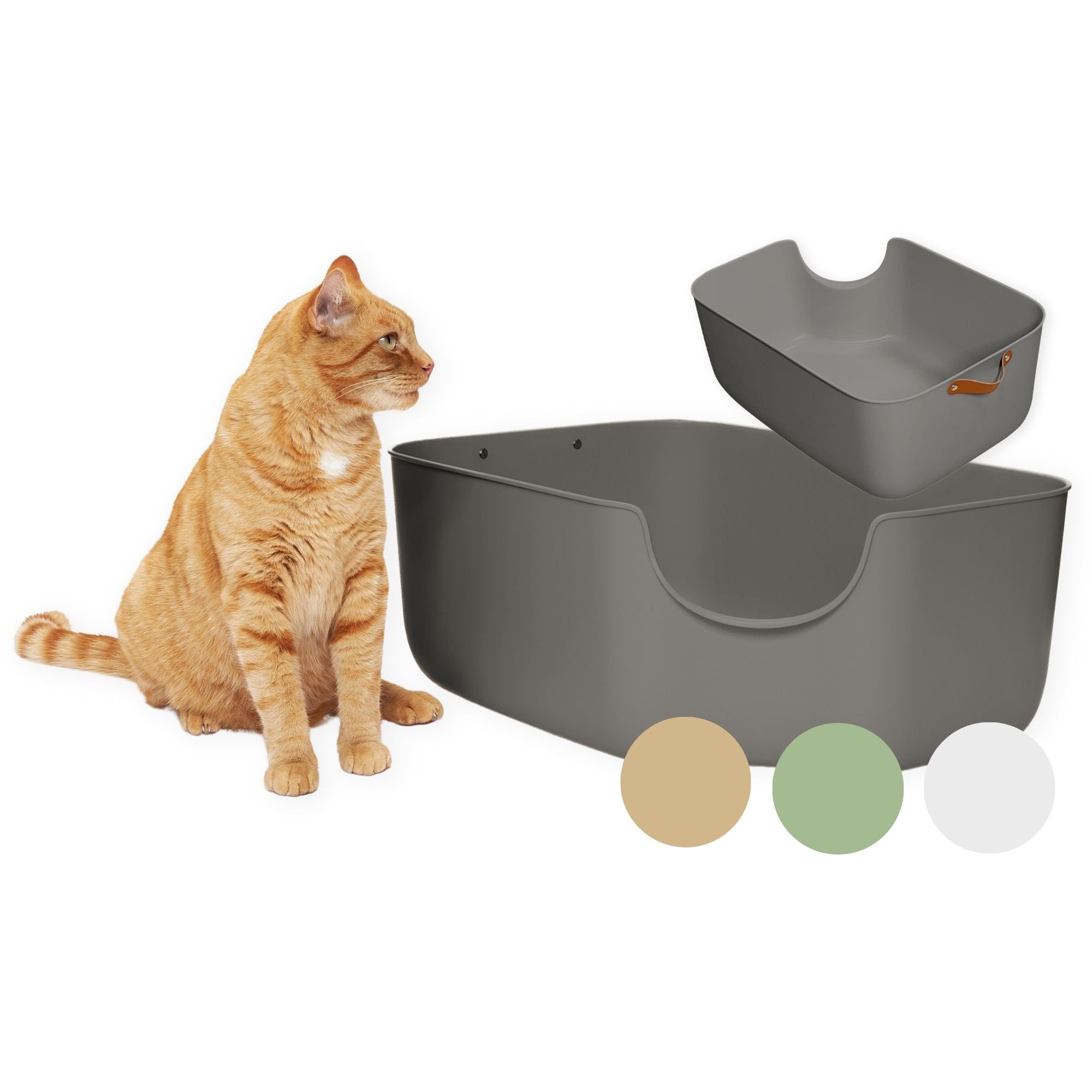 Grau Katzentoilette mit extra hohen Wänden für mehr Sauberkeit und Schutz vor Herausscharren, Katze sitzt daneben