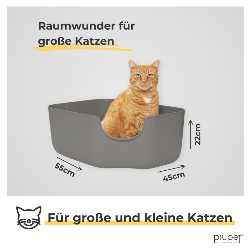 Katzentoilettegross