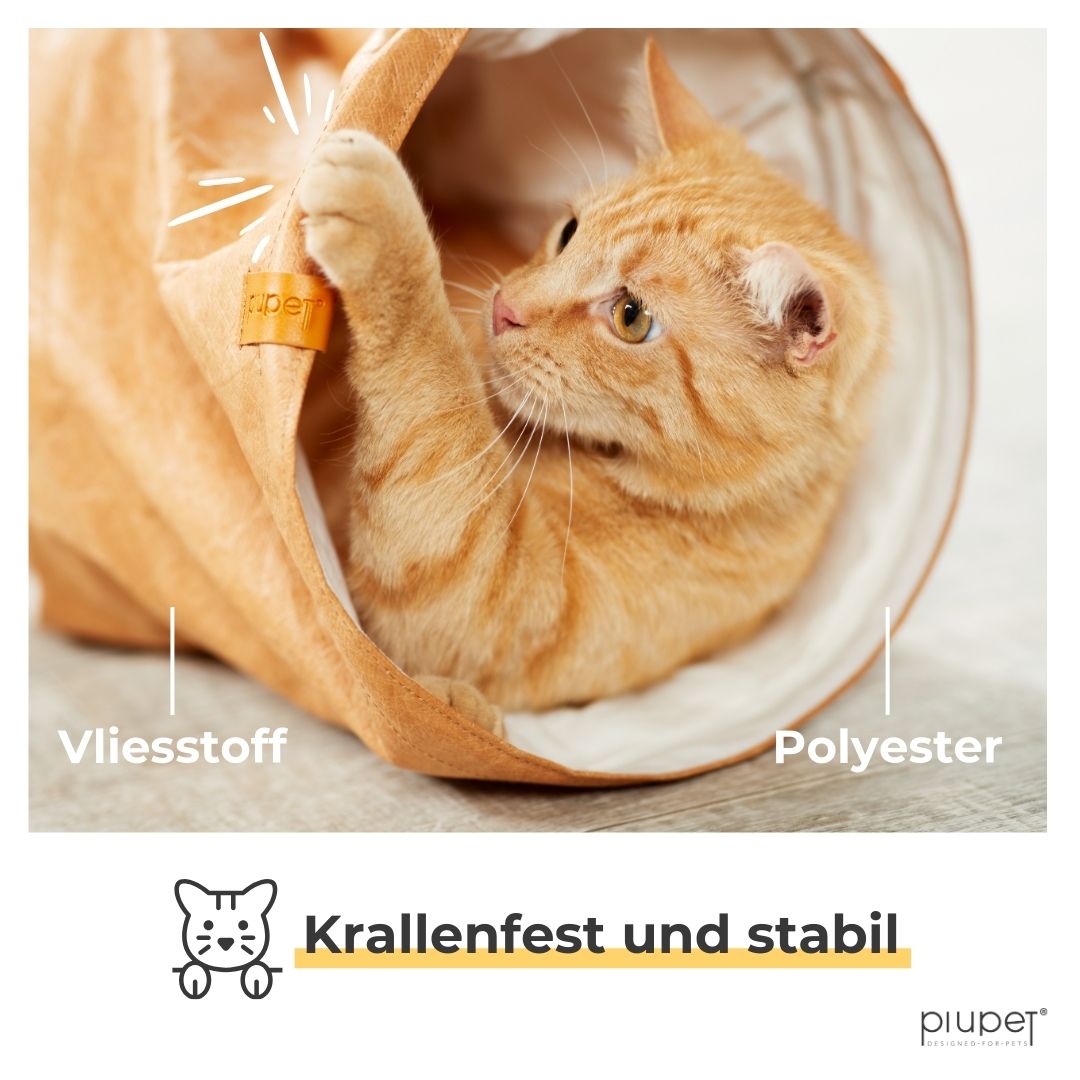 Katze spielt mit Katzentunnel