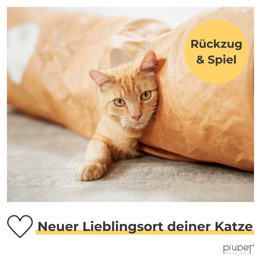 Katze liegt im Spieltunnel