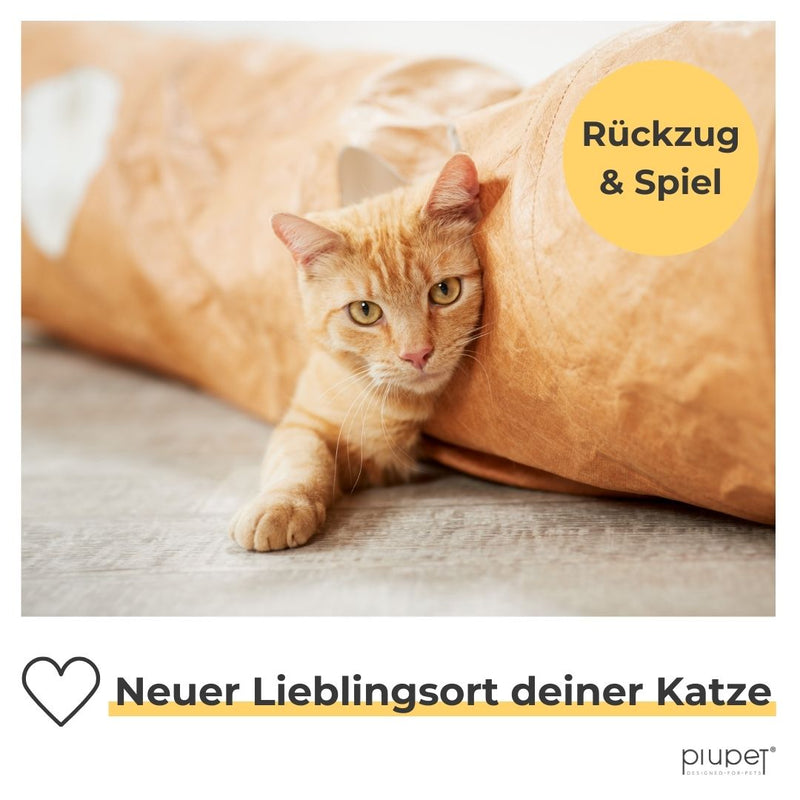 Katzenzubehoer