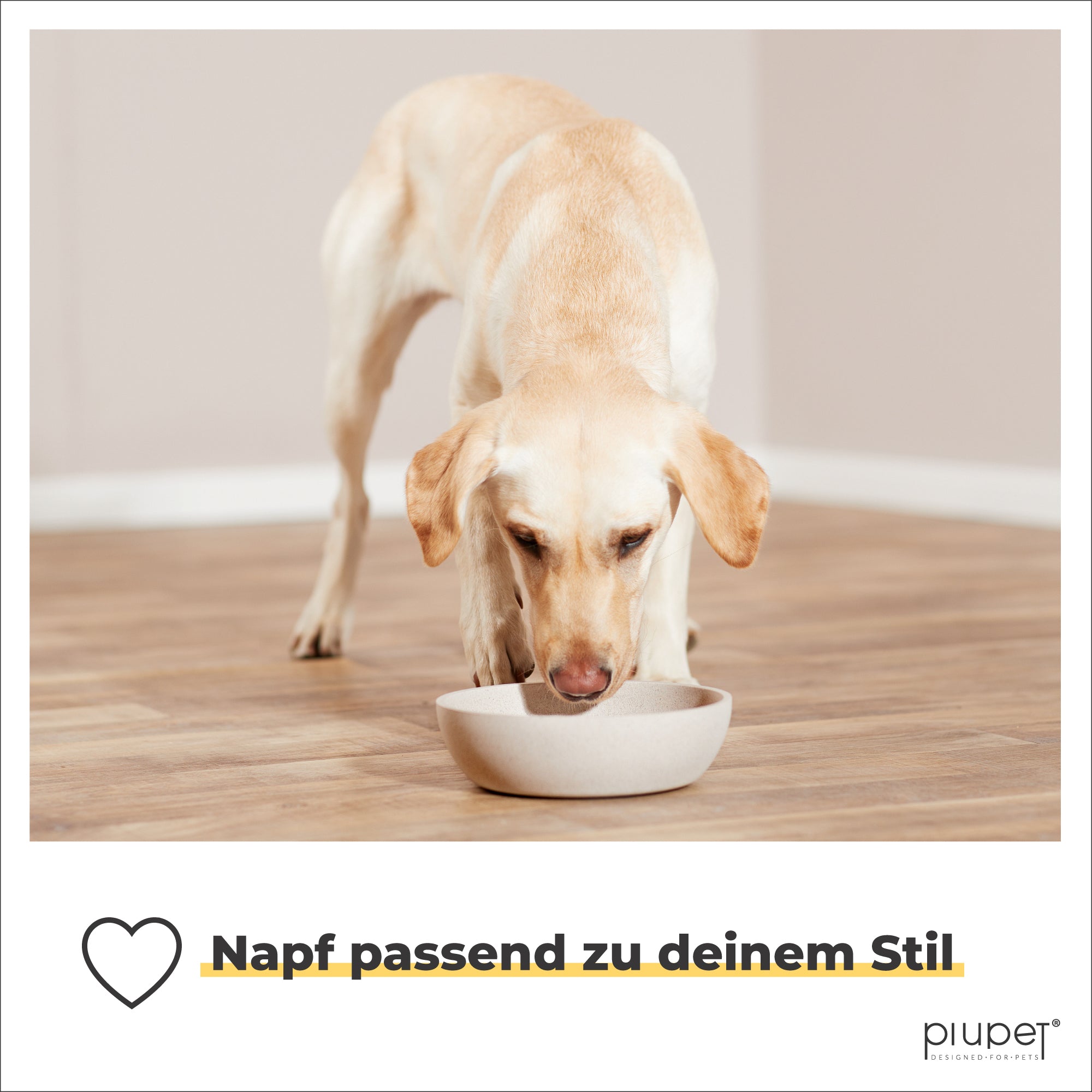 Labrador frisst aus Hundenapf in beige. Moderner, umweltfreundlicher Futternapf für Hunde. Text: Napf passend zu deinem Stil.