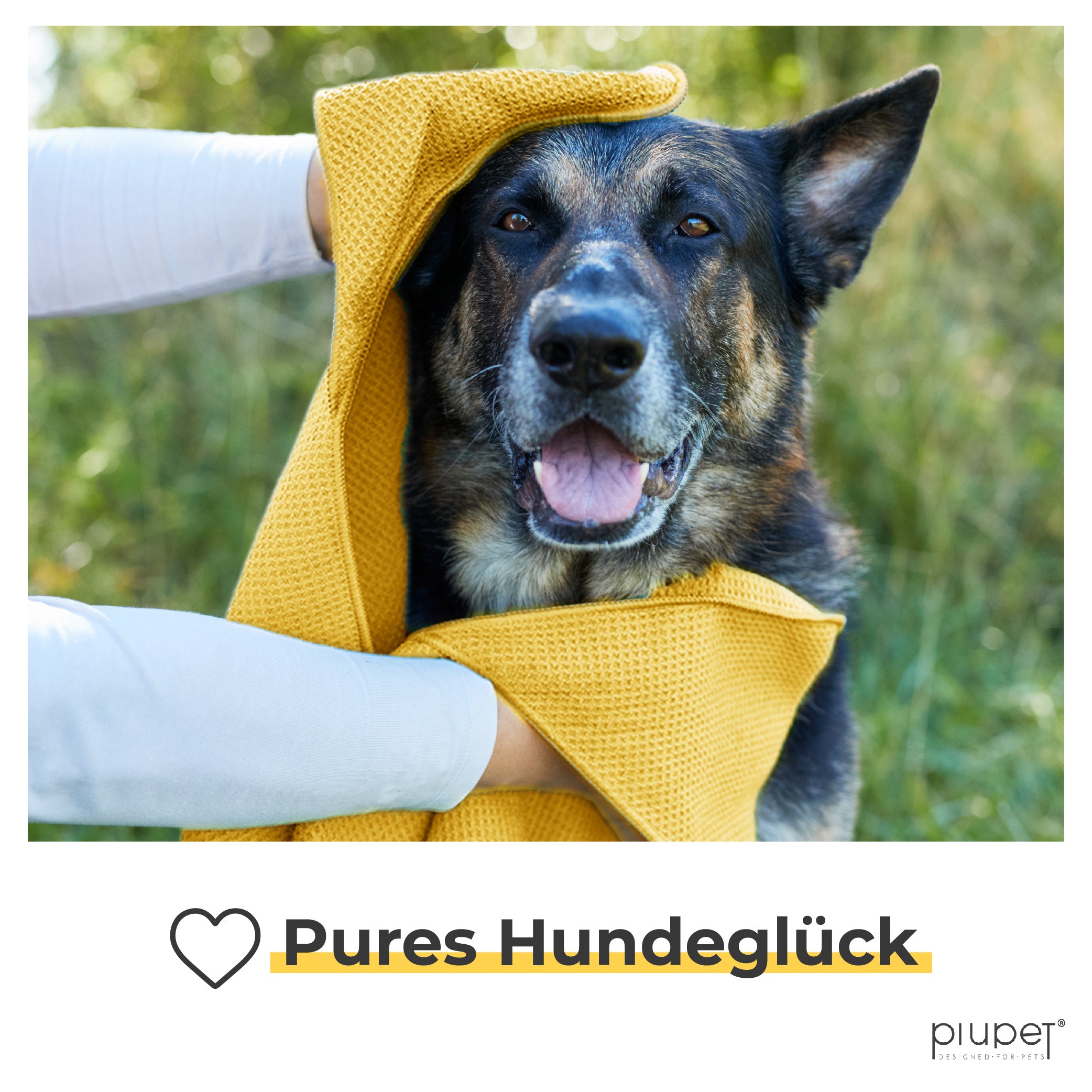 Hundehandtuch "NAO"