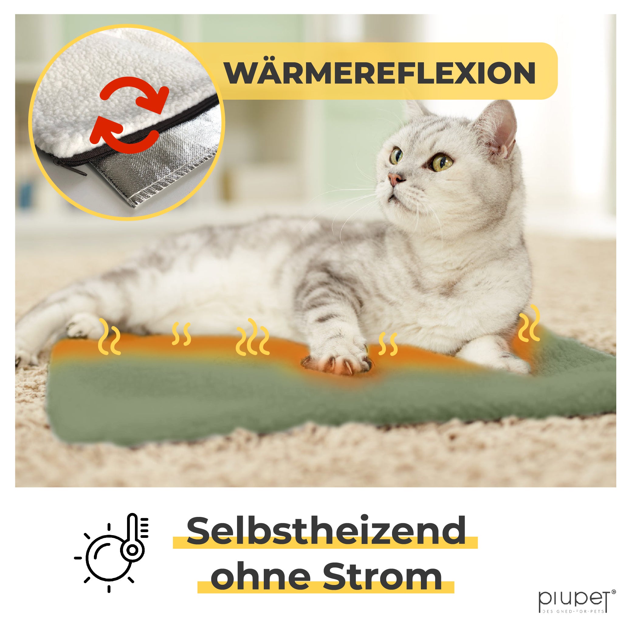 Graue Katze liegt auf einer grünen selbstheizenden Matte mit Wärmereflexion.“
