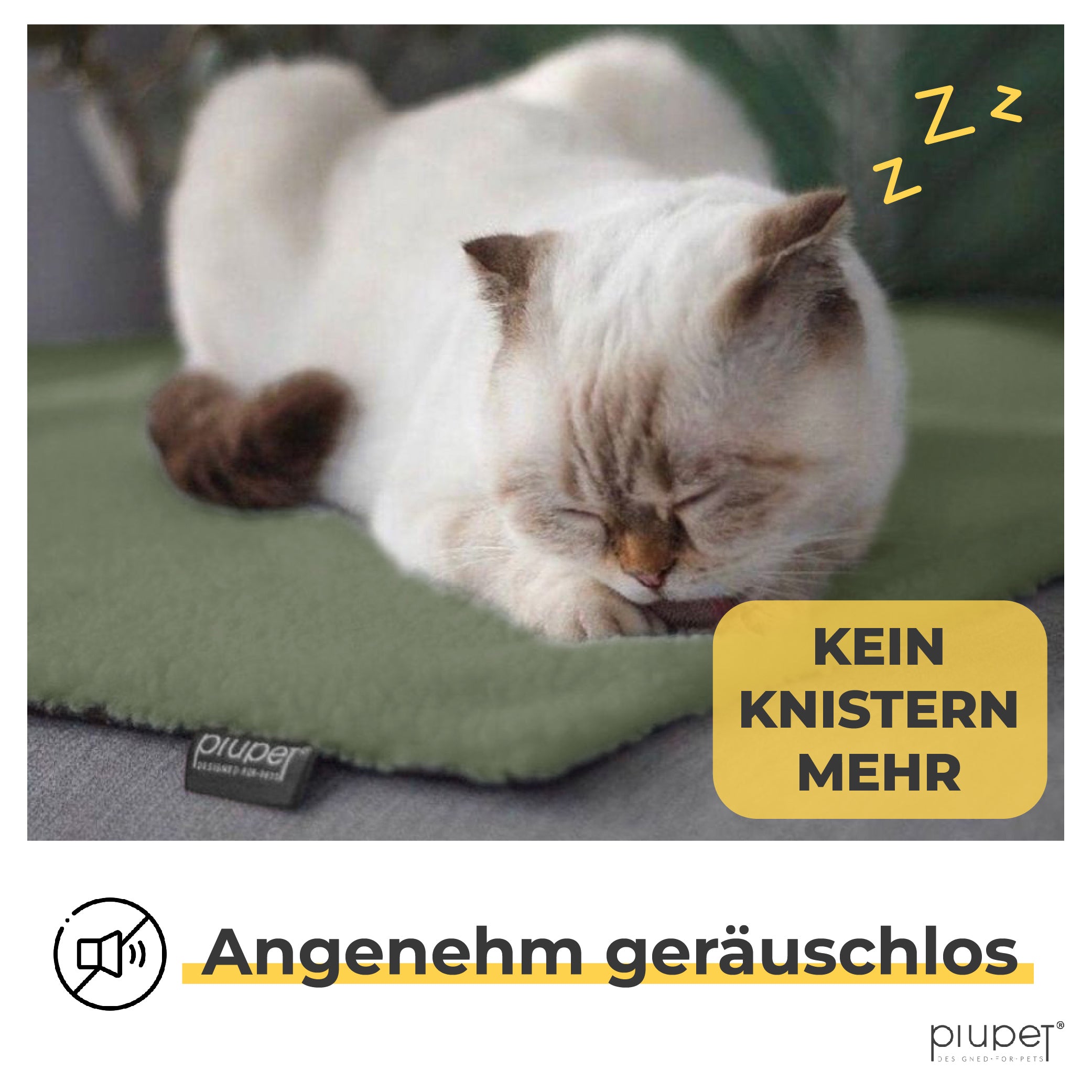 Katze schläft auf Decke