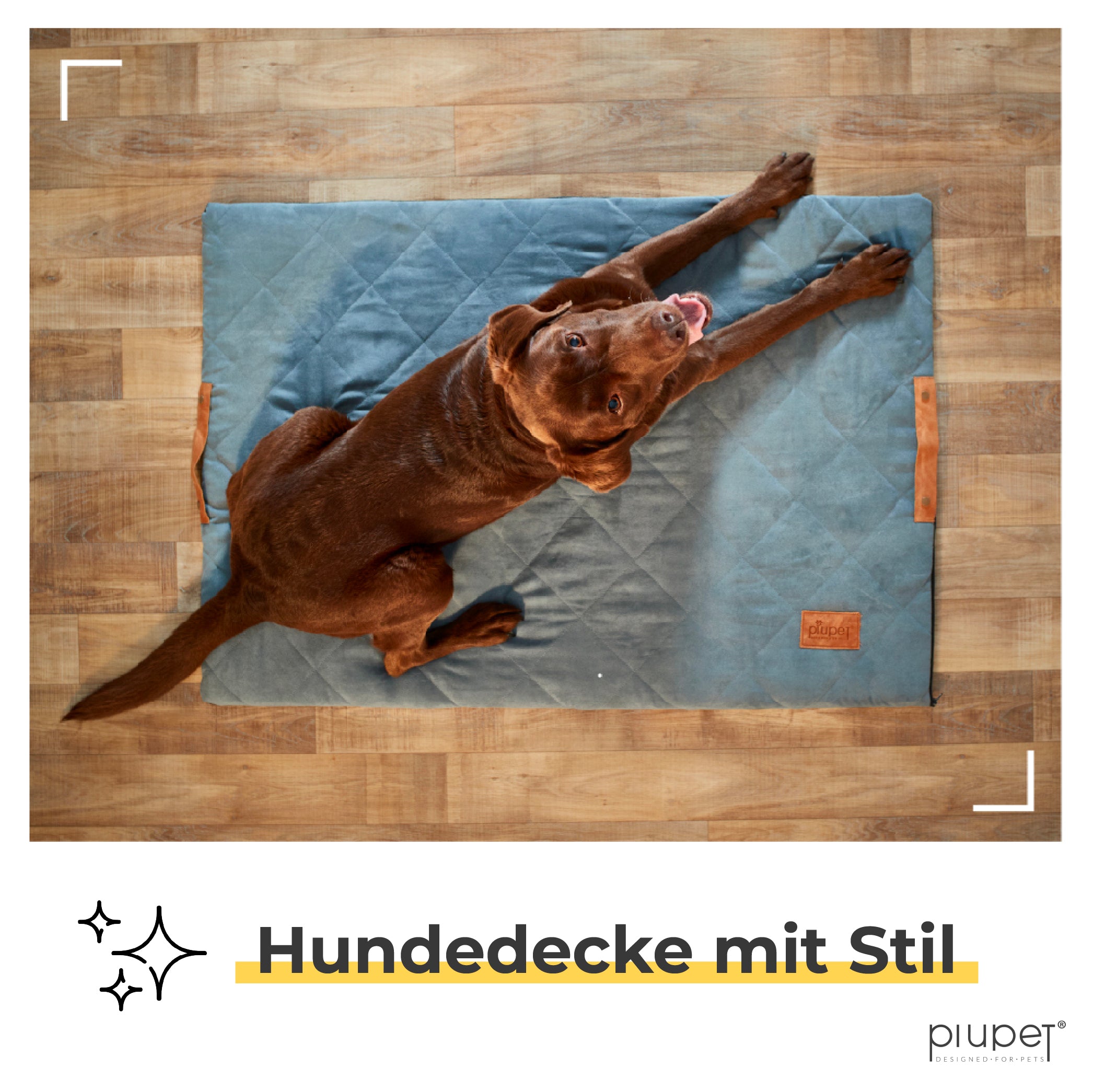 Hund liegt auf der Hundedecke. Foto von oben