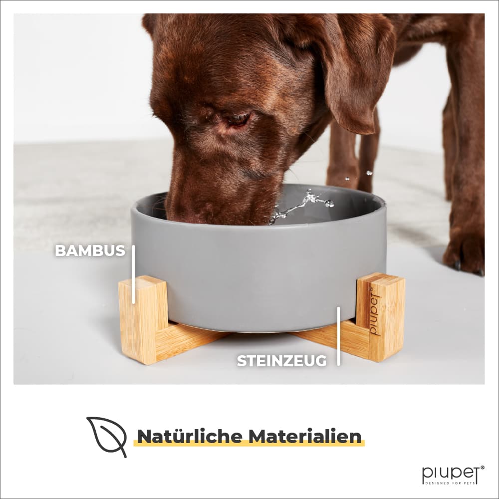 Hund trinkt aus dem Napf. Napf besteht aus Steinzeug und Bambus