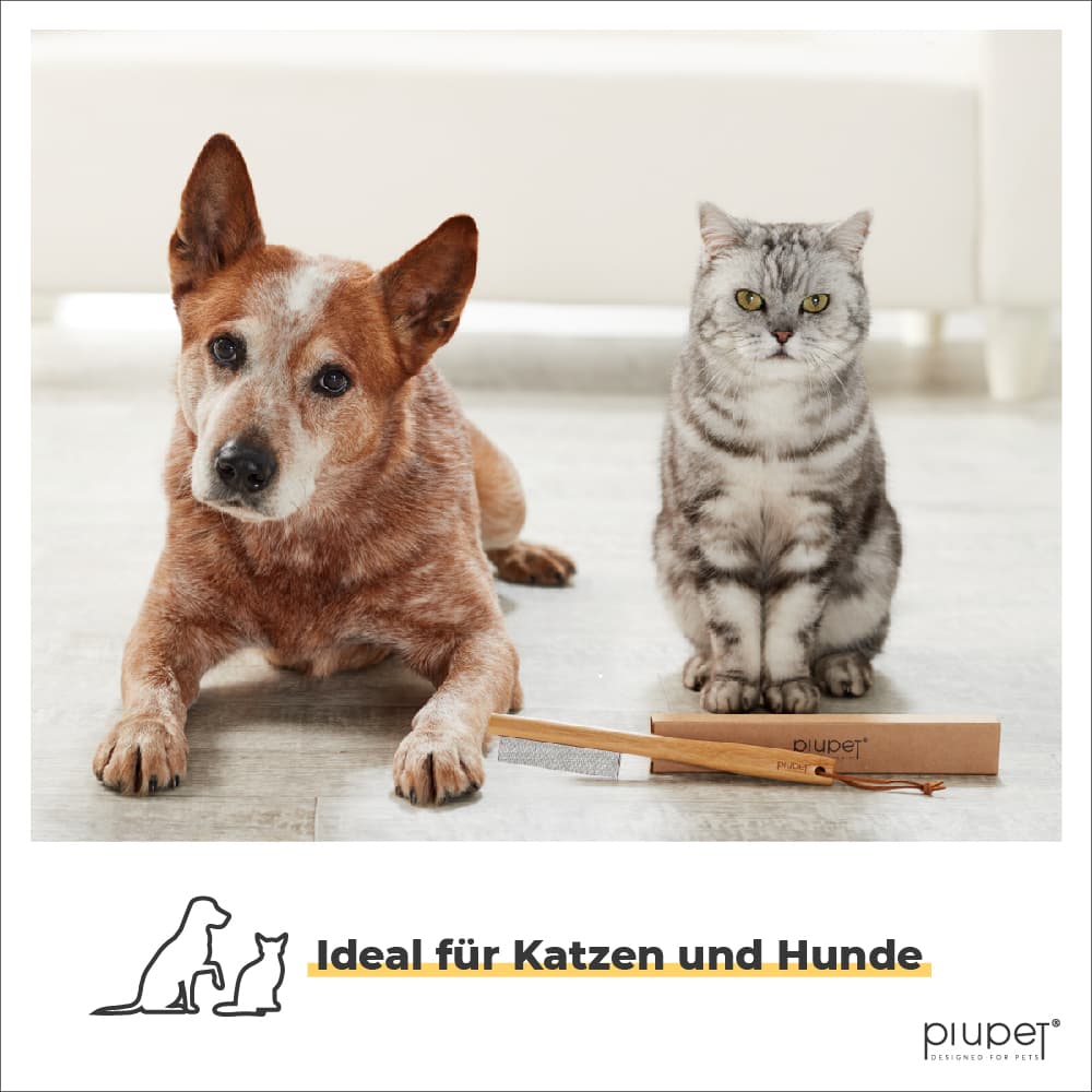 Flohkamm geeignet für Hunde und Katzen