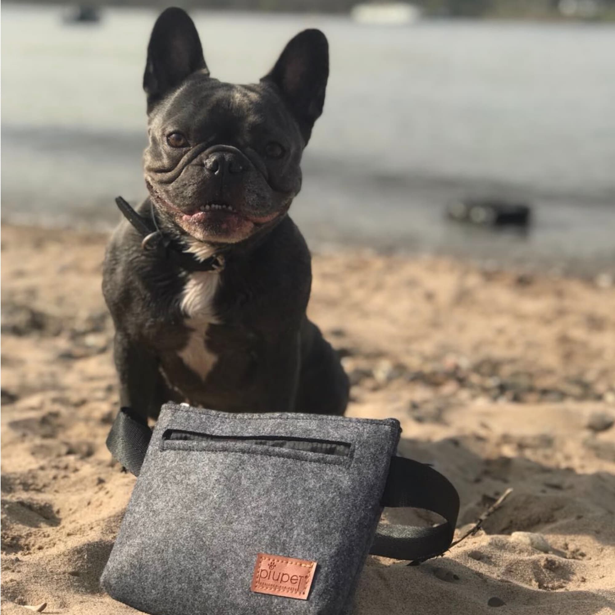 Futterbeutel mit Hund im Hintergrund am Strand