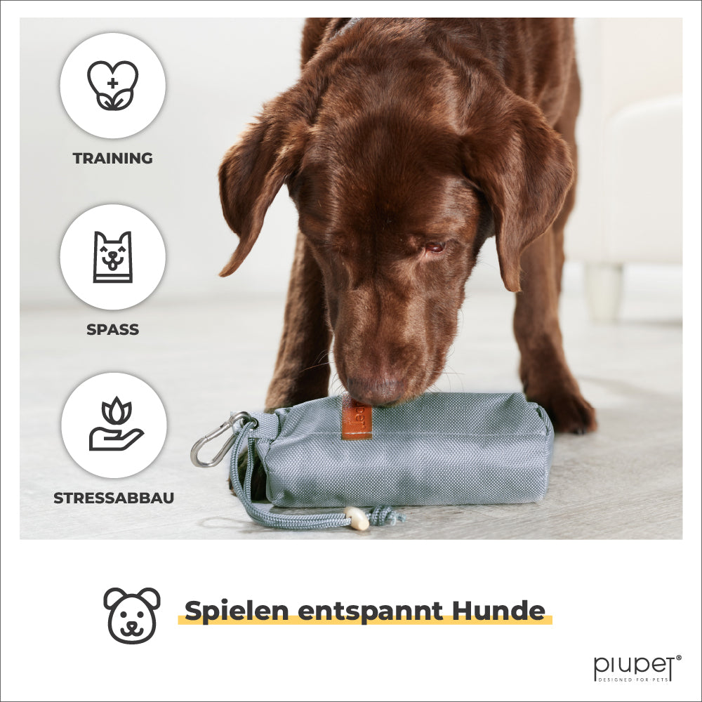 Hund schnüffelt an Futterdummy