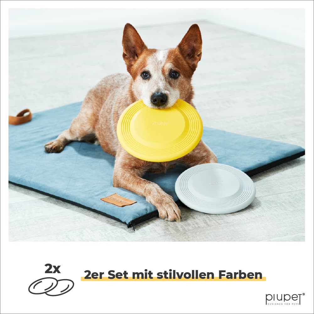 Hund liegt auf Decke und hat den gelben Frisbee im Mund und den grauen auf der Pfote liegen