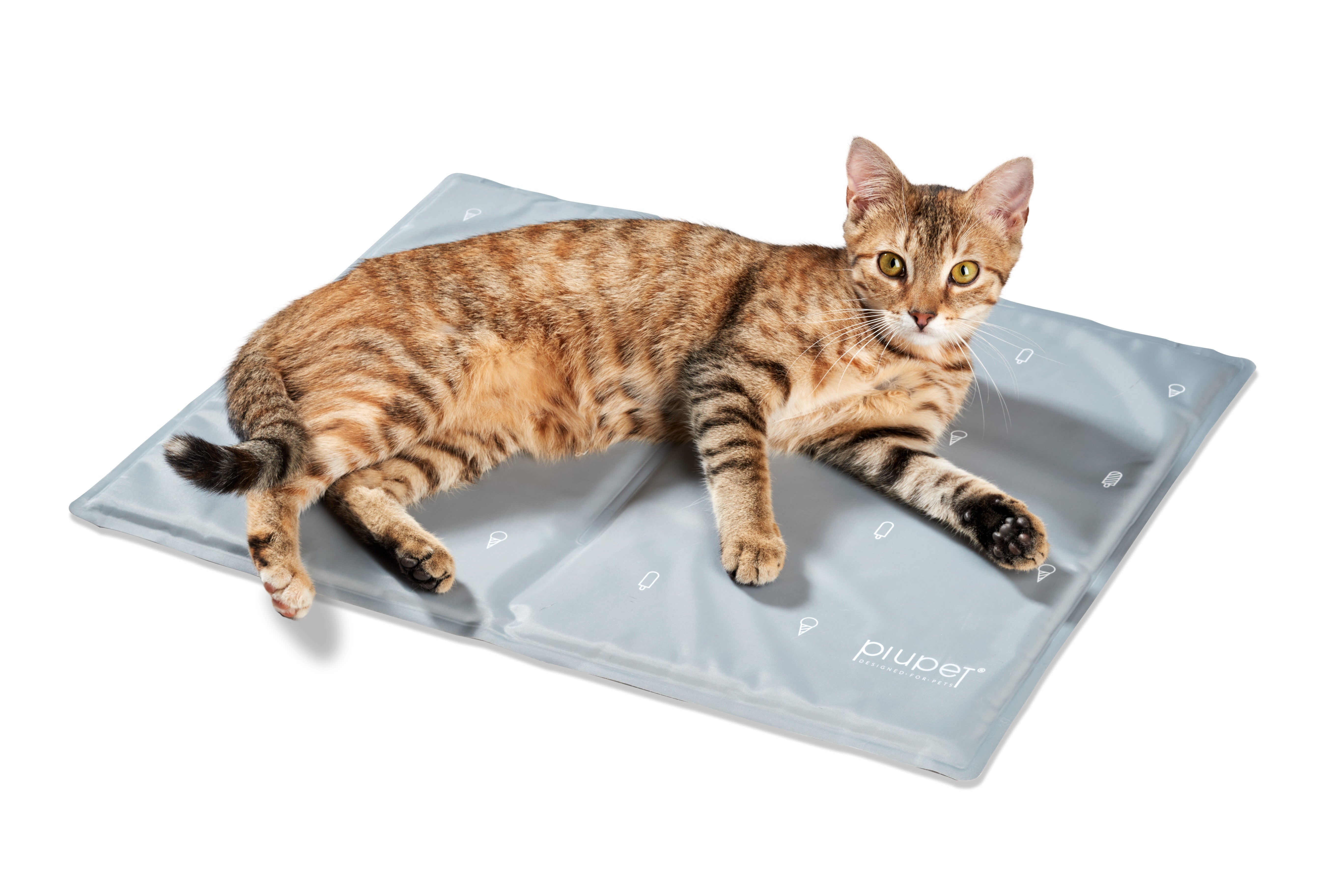 Katze liegt auf der Kühlmatte