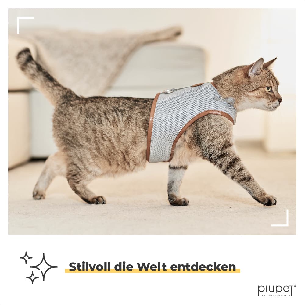 Katze trägt beiges Katzengeschirr