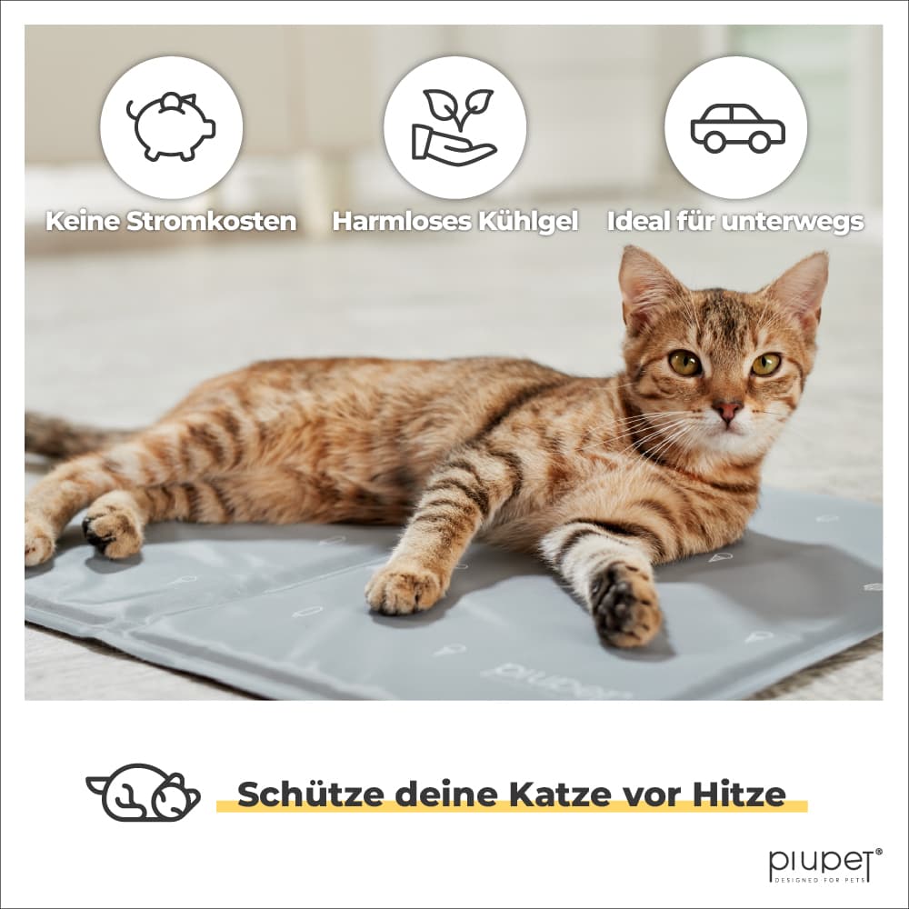 Katze liegt entspannt auf grauer Kühlmatte