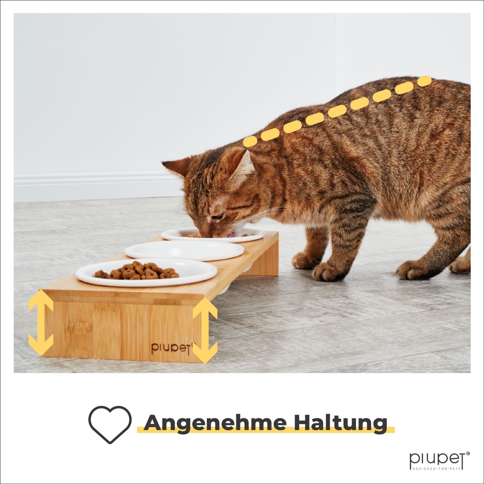 Katze frisst in aufrechter Haltung aus einem erhöhten Bambus-Katzennapf