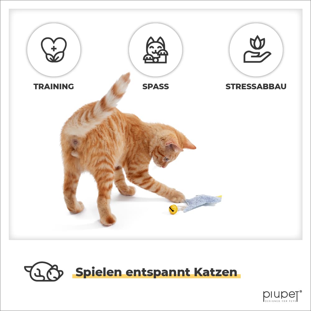 Katze spielt mit Spielzeug für Training, Spaß und Stressabbau