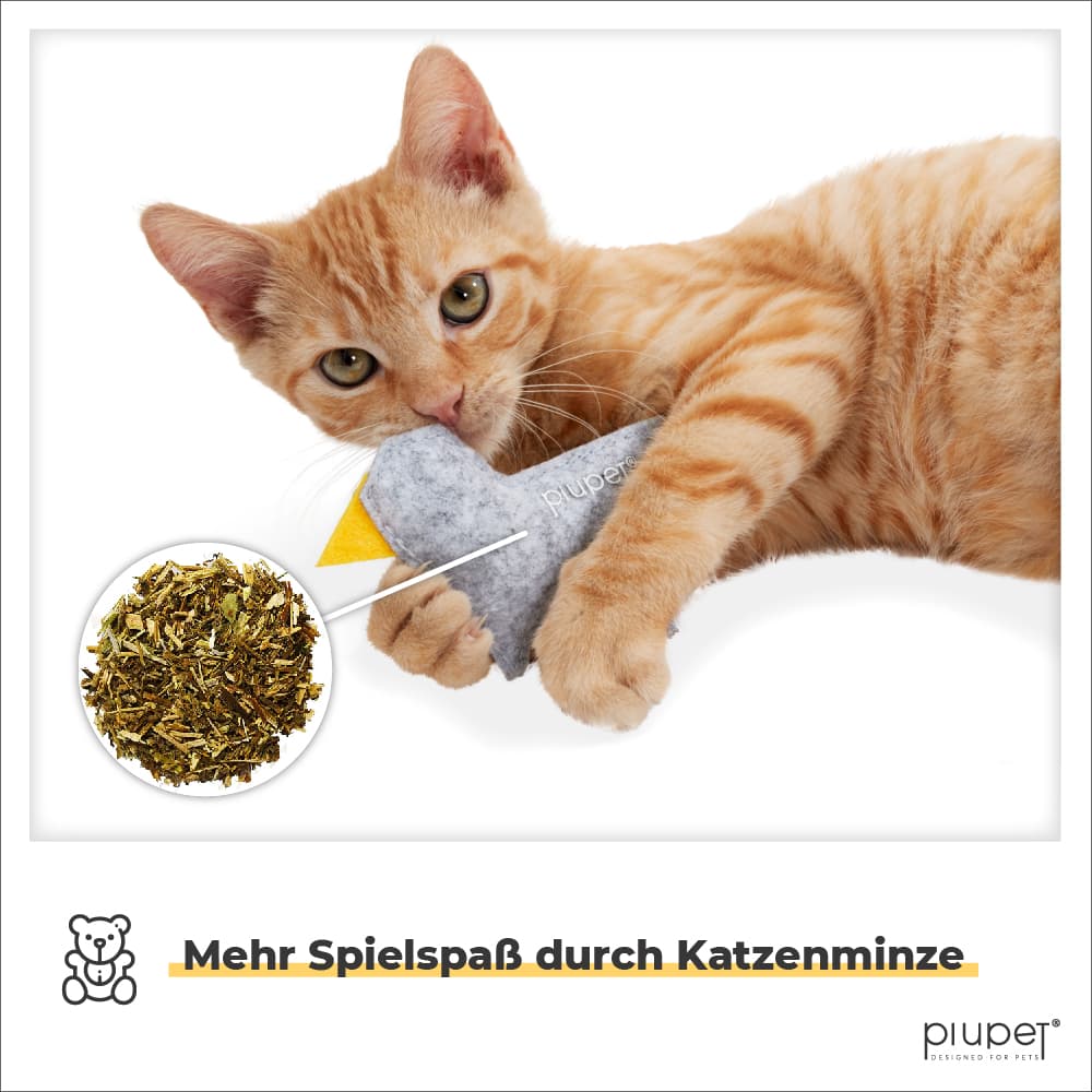 Katze spielt mit Katzenspielzeug gefüllt mit Katzenminze