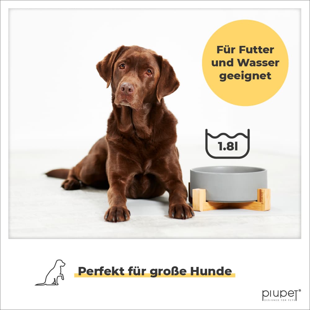 Brauner Hund neben Futternapf. Futternapf zeigt, dass 1,8 Liter reinpassen und es für Futter und Wasser geeignet ist.