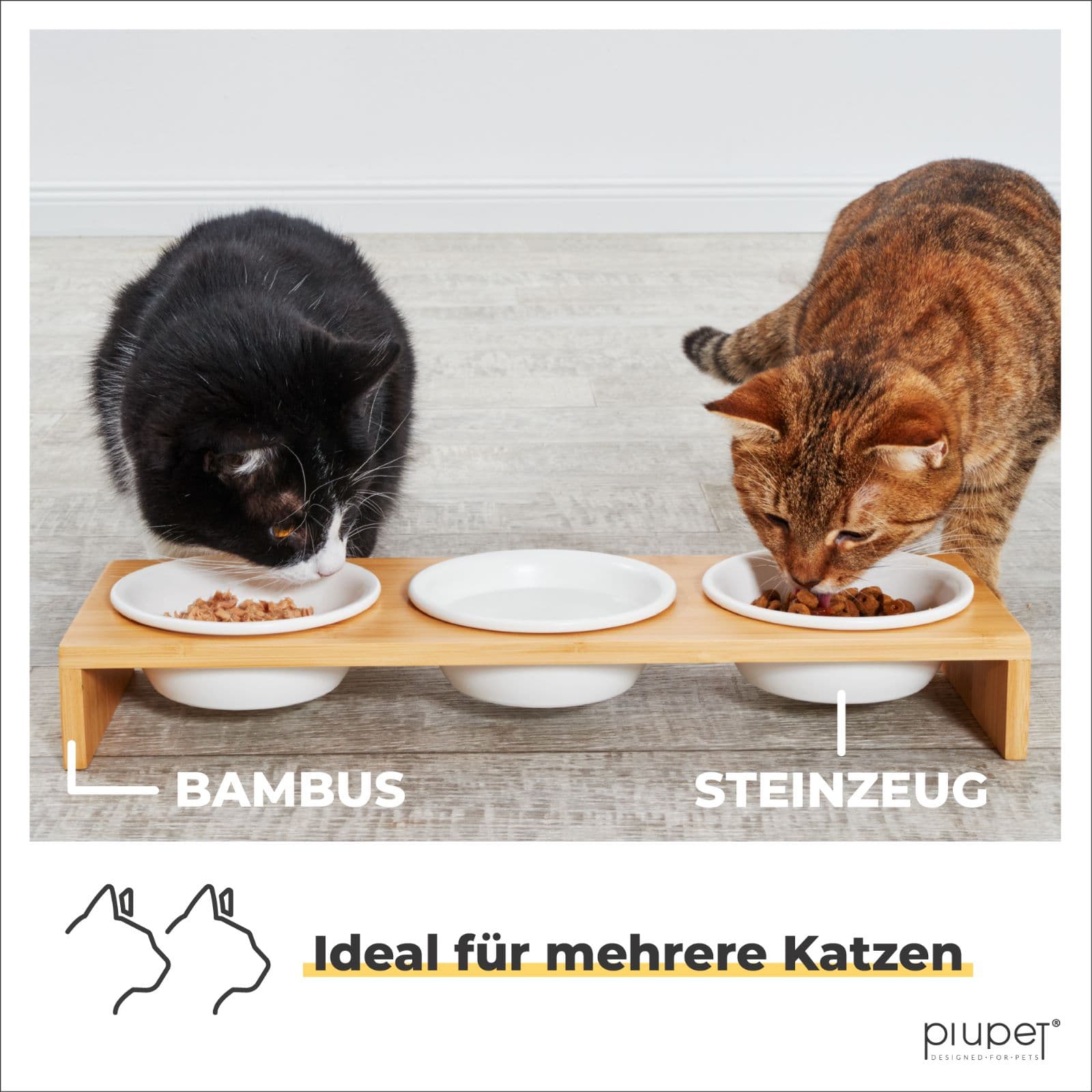 Zwei Katzen fressen aus einem Napfständer mit drei Schalen