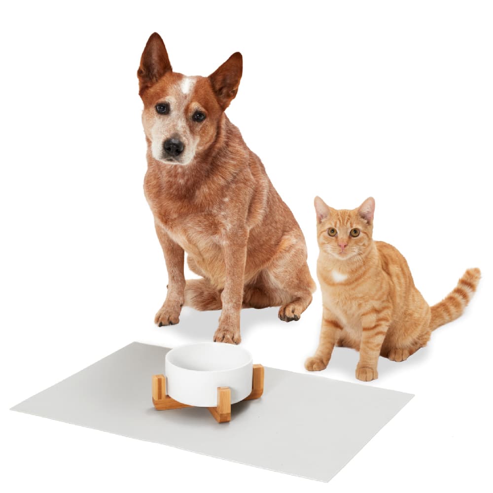 Hund und Katze sitzen vor der Napfunterlage