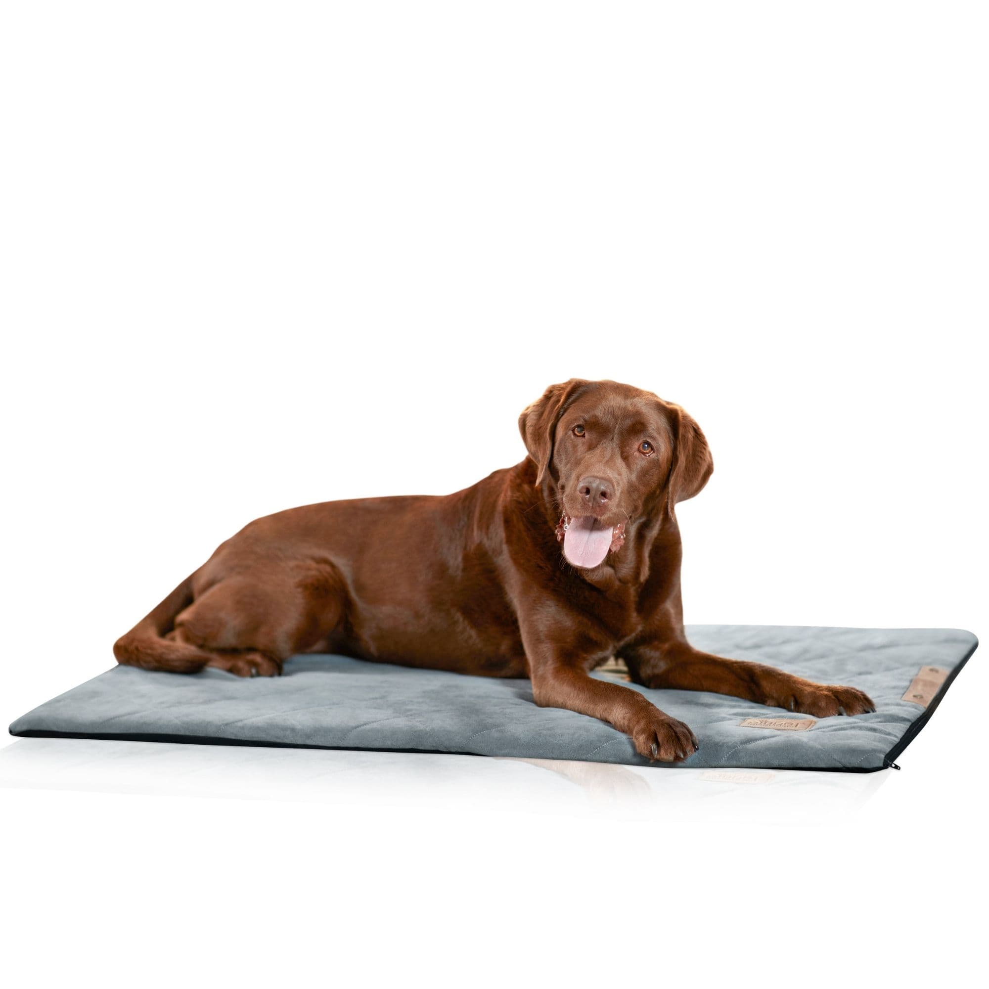 Hund liegt auf Hundedecke