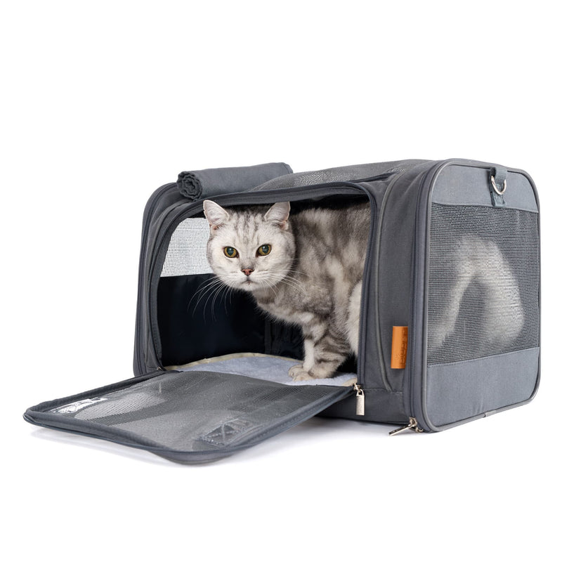 Transportbox für Katze & Hund