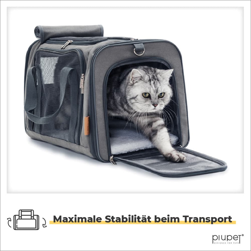 Transportbox für Katze & Hund