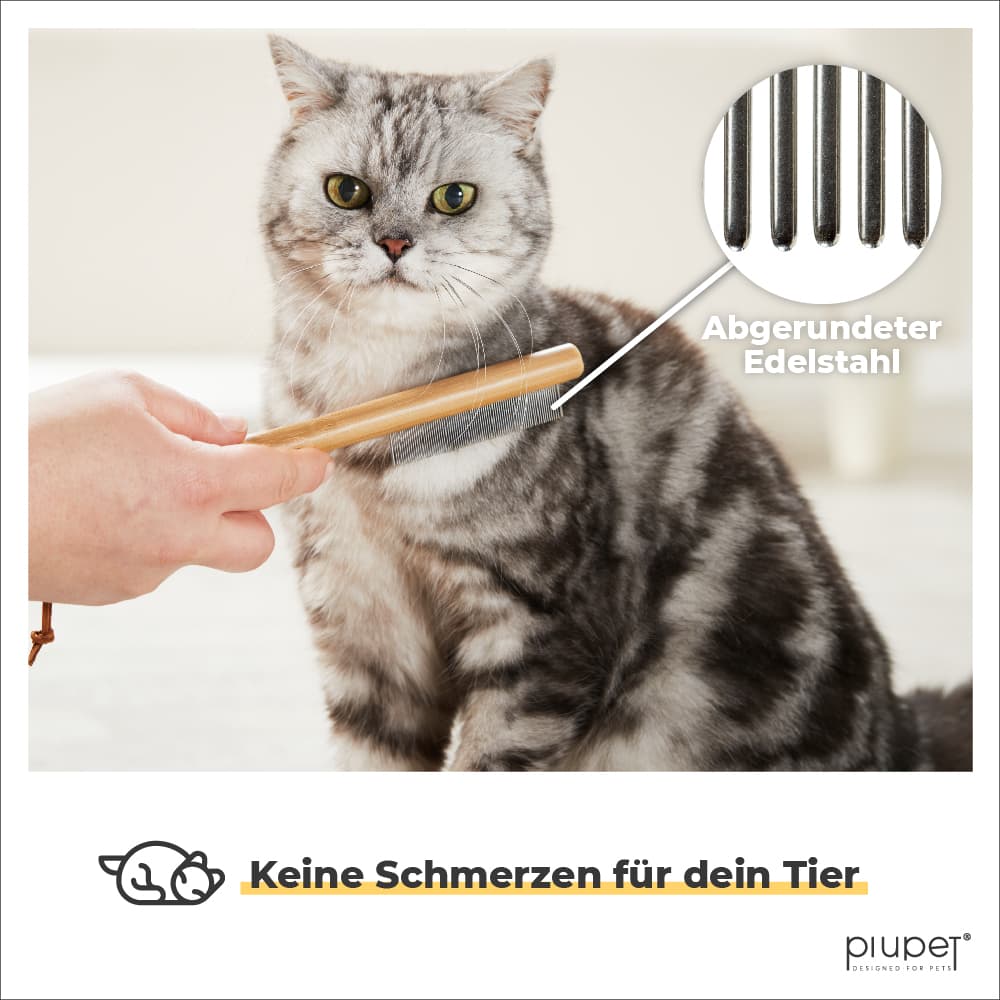 Katze wird mit abgerundeten Stahl Borsten schmerzfrei gebürstet